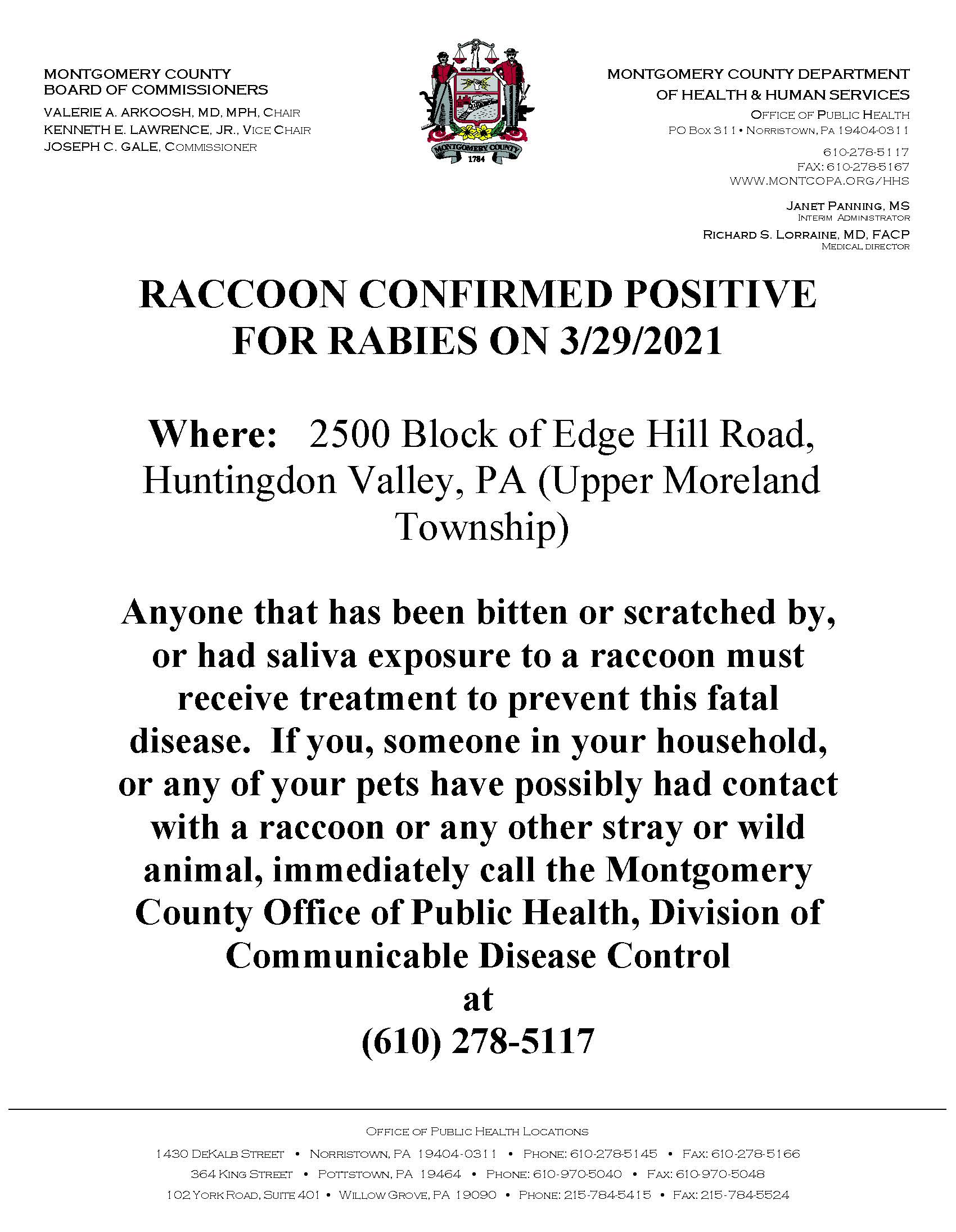 Raccoon - Upper Moreland Township