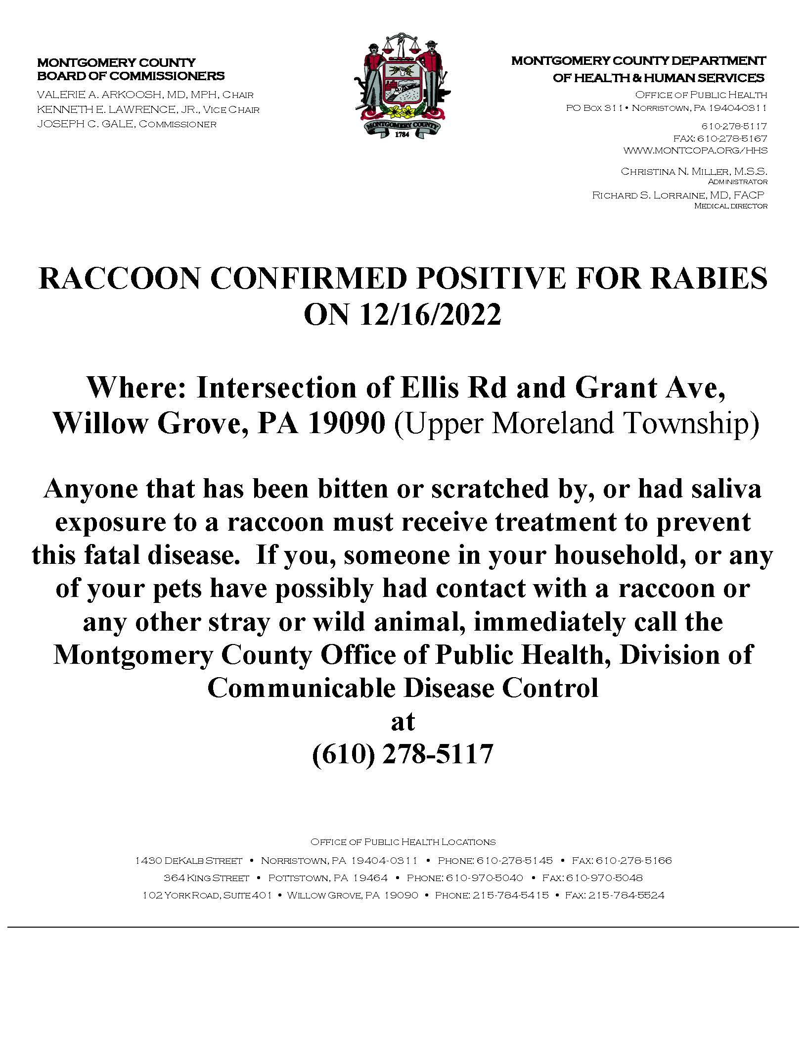 Positive Raccoon - Upper Moreland Twp