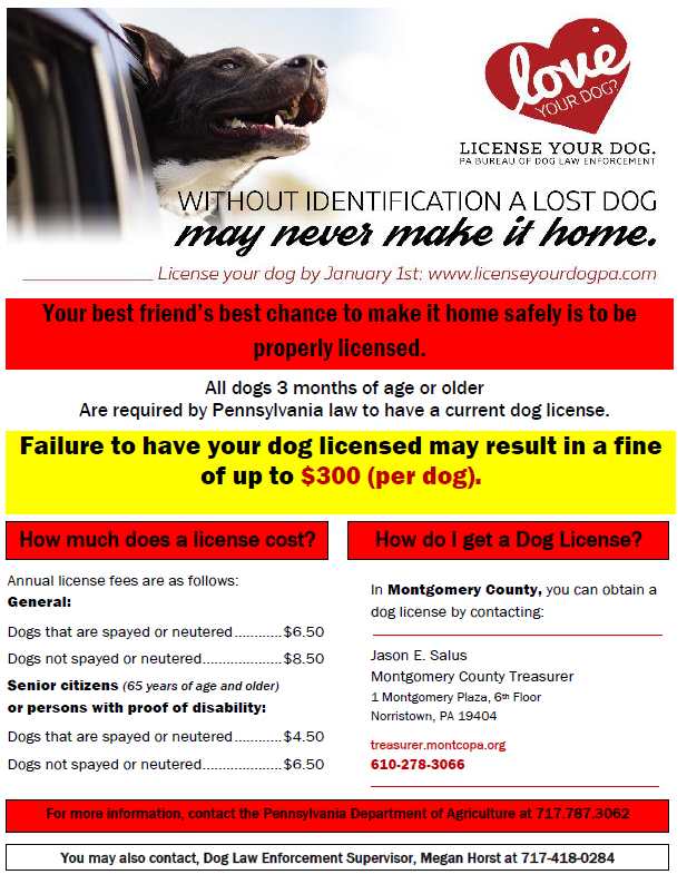 License Your Dog